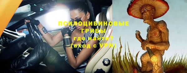 тгк Балахна