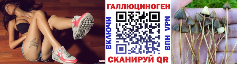 сколько стоит  Североморск  Галлюциногенные грибы Psilocybine cubensis 
